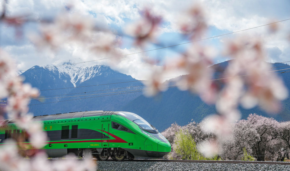 复兴号列车穿行在拉林铁路林芝段（2025年4月2日摄）。新华社记者 丁增尼达 摄.jpg