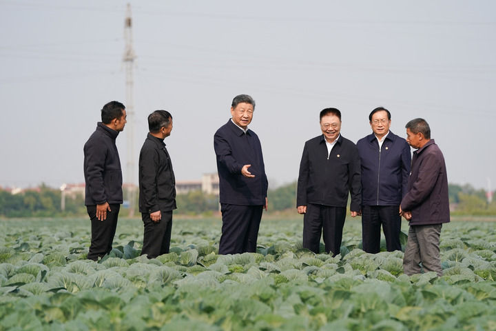 习近平在咸宁市嘉鱼县潘家湾镇十里蔬菜长廊考察时，走进田间，察看蔬菜长势.jpg