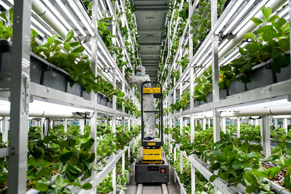 2025030420bc9594f8604aec90c22658b48f5b5d_20250304353fd915135242edba4f6453a6681abb.jpeg 2025030420bc9594f8604aec90c22658b48f5b5d_20250304353fd915135242edba4f6453a6681abb.jpeg