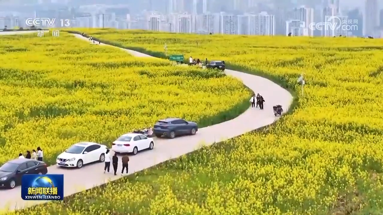 踏青赏花 乐享春日好时光 .jpg 踏青赏花 乐享春日好时光 .jpg