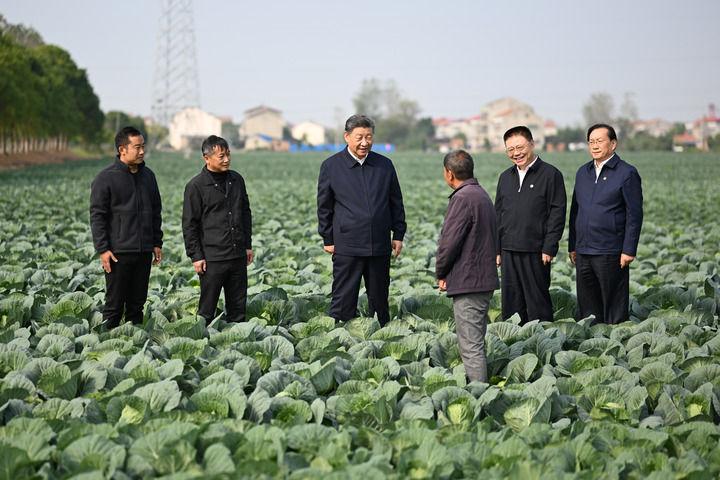 习近平在咸宁市嘉鱼县潘家湾镇十里蔬菜长廊考察时，同菜农亲切交流.jpg